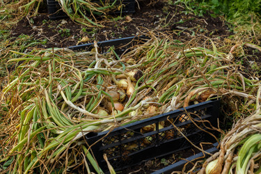 Similar image 21281273