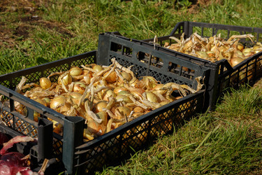 Similar image 21281274