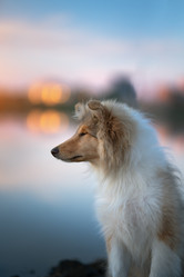 Similar image 21279894