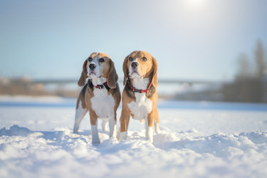 Similar image 21279895