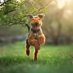 Similar image 21279898