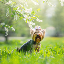 Similar image 21279900