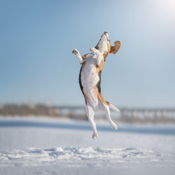 Similar image 21279903