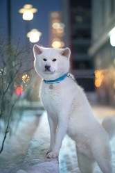 Similar image 21279907