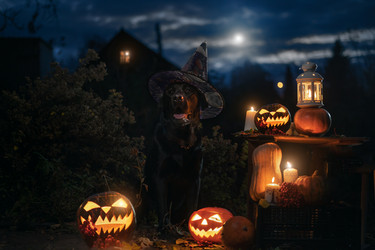 Similar image 21279909