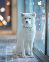 Similar image 21279911