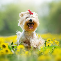 Similar image 21279916