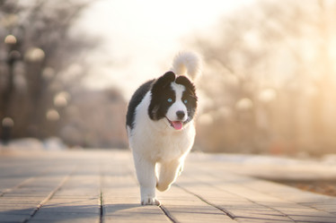 Similar image 21279917