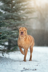 Similar image 21279918