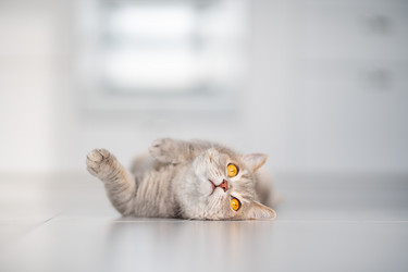 Similar image 21279922