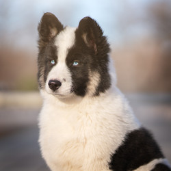 Similar image 21279923