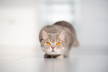 Similar image 21279926