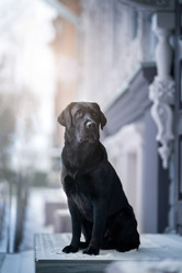 Similar image 21279927