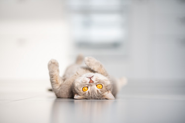 Similar image 21279928