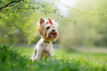 Similar image 21279930