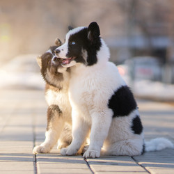 Similar image 21279931