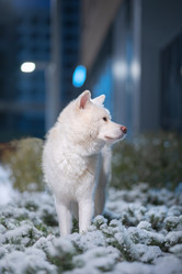 Similar image 21279933