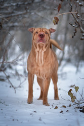 Similar image 21279934