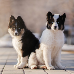 Similar image 21279935