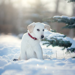 Similar image 21279937