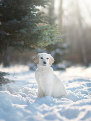 Similar image 21279938