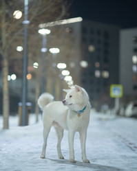 Similar image 21279939