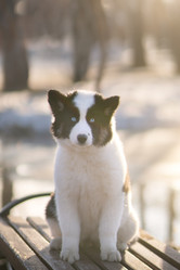 Similar image 21279940