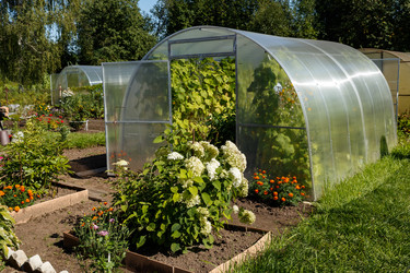 Similar image 21281277