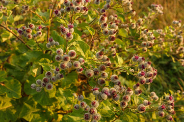 Similar image 21281279