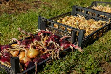 Similar image 21281284