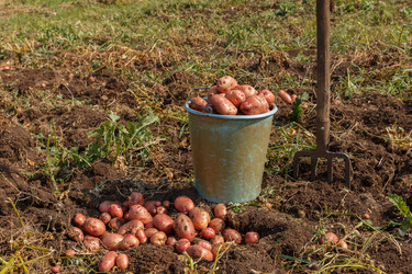 Similar image 21281294