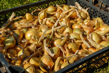 Similar image 21281298