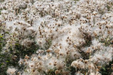 Similar image 21281301