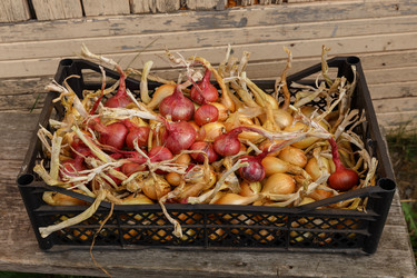 Similar image 21281302