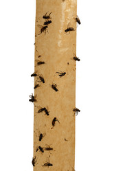 Similar image 21281305