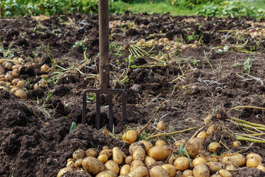 Similar image 21281306