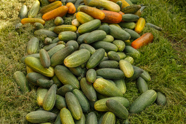 Similar image 21281307