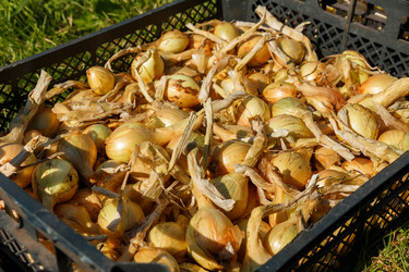 Similar image 21281308