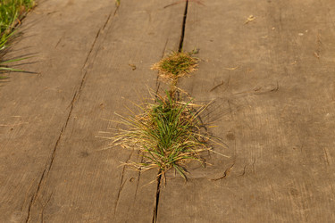 Similar image 21281322