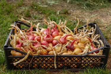 Similar image 21281323