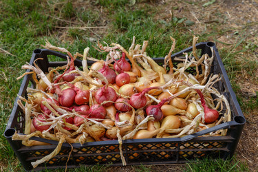 Similar image 21281324