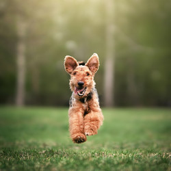 Similar image 21279852