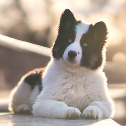 Similar image 21279853