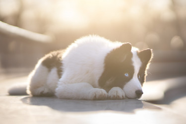 Similar image 21279854