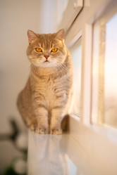 Similar image 21279856