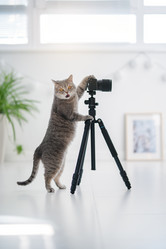 Similar image 21279858