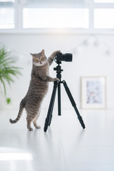 Similar image 21279860