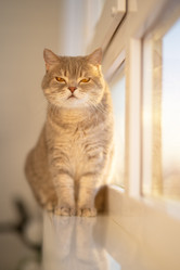 Similar image 21279862