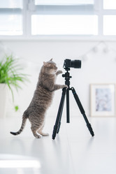 Similar image 21279864