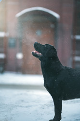 Similar image 21279865